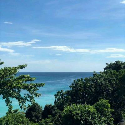 佩帅：三大外援发挥出色 崔康熙：回主场定赢苏宁